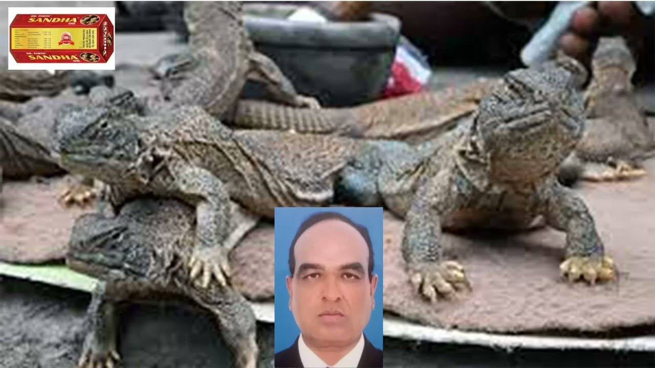 Bhalwal | Bhalwal City Tour 2023 | 02 Raja Rab Nawaz Advocate Travel chak No 2 NB Bhalwal 2 chak Cit
