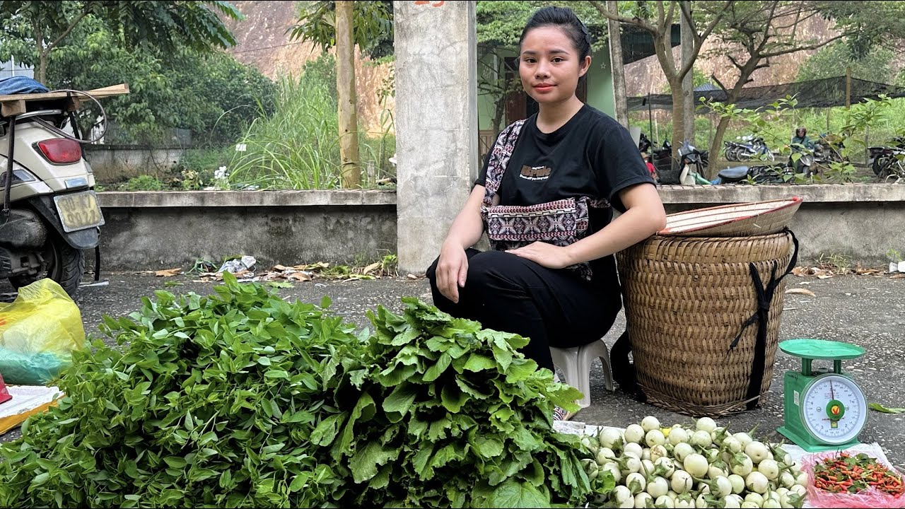 Harvesting choysum, white eggplant, and chili to sell at the market - Gardening