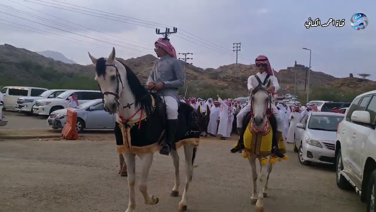 دخول قبيلة بالمفضل -اليوم الجمعة تاريخ ٧/٣ تم زواج أبناء هندي بن شغموم - قصر زهران با الشعراء