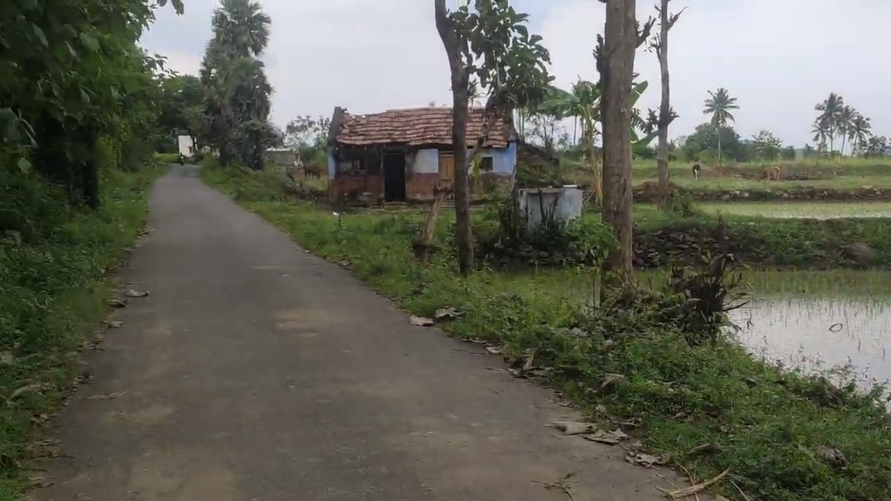 salem My Native Place Attur(1)