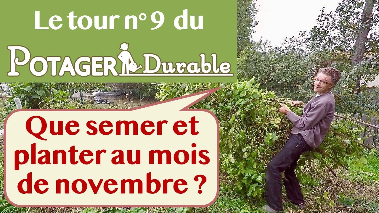 Que semer et planter au mois de novembre au potager ?