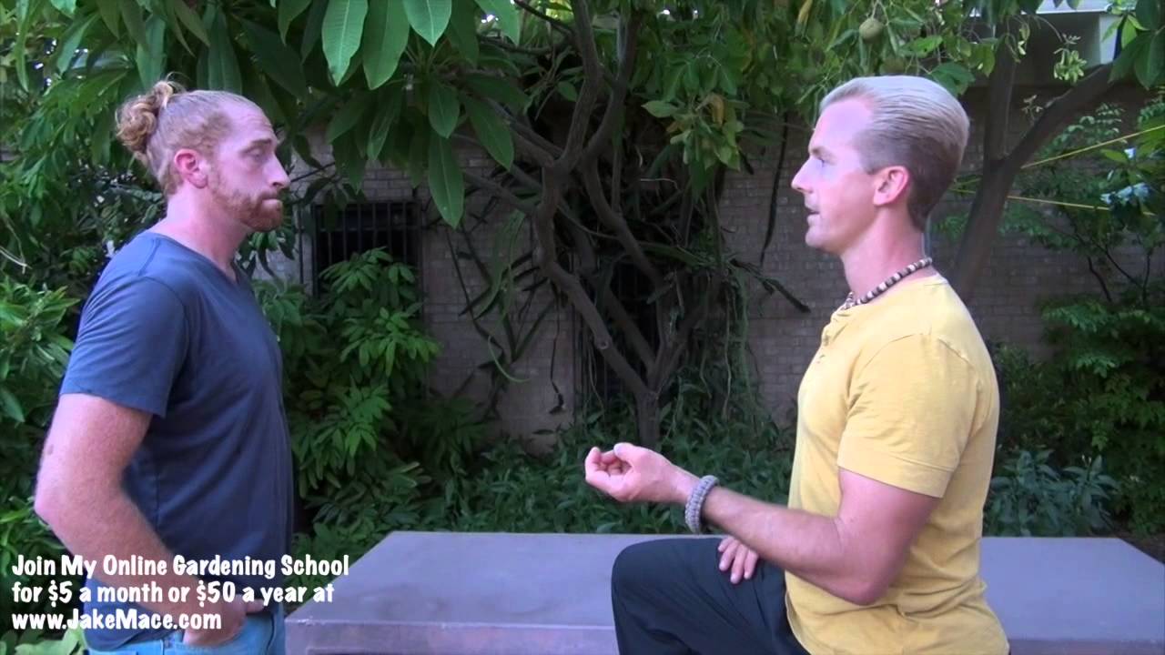 Secret EDIBLE Tropical Tree Food Forest in Phoenix - Amazing!
