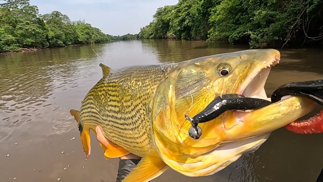 DOURADO NA ISCA SOFT  ,RIO DOURADOS MS