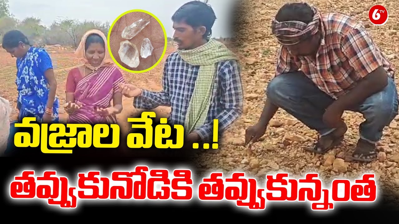వజ్రాల వేట ..! తవ్వుకునోడికి తవ్వుకున్నంత .!Villagers Hunt For Diamonds In Gudimetla Village | @6TV