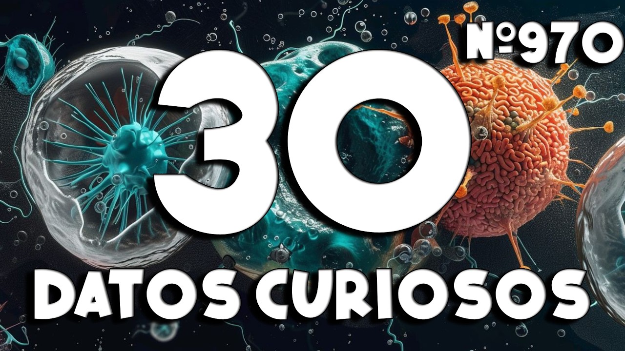30 DATOS CURIOSOS y COSAS QUE NO SABÍAS ⏰😲 970 #curiomaníatv