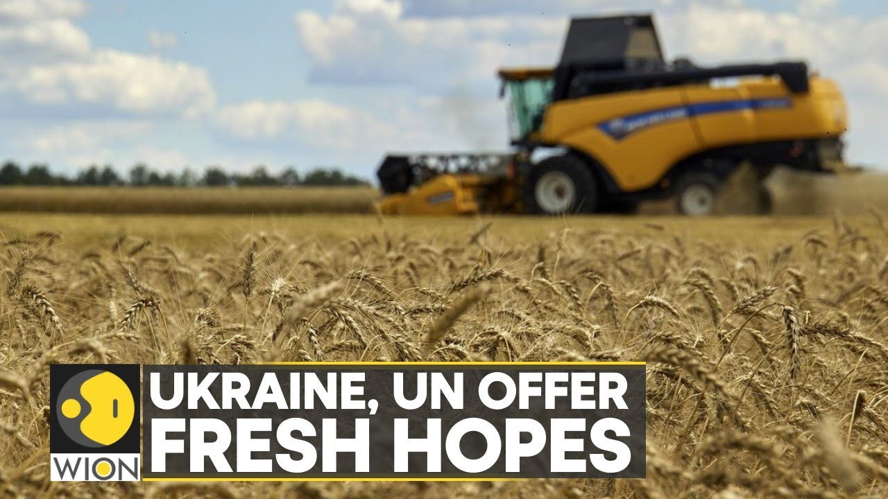 Ukraine works to resume grain exports, should begin again within days | World News | WION