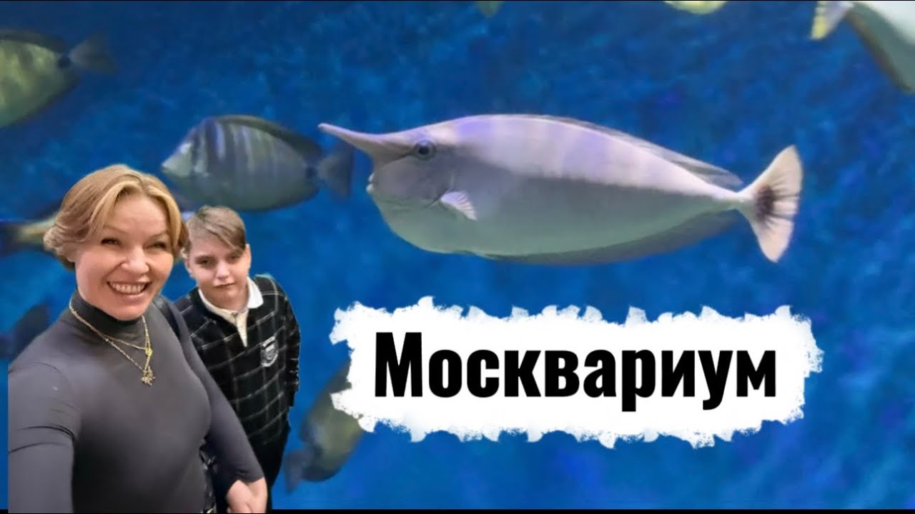 Невероятная экскурсия в Москвариуме на ВДНХ! #москва #тревелвлог #влог #москвариум 