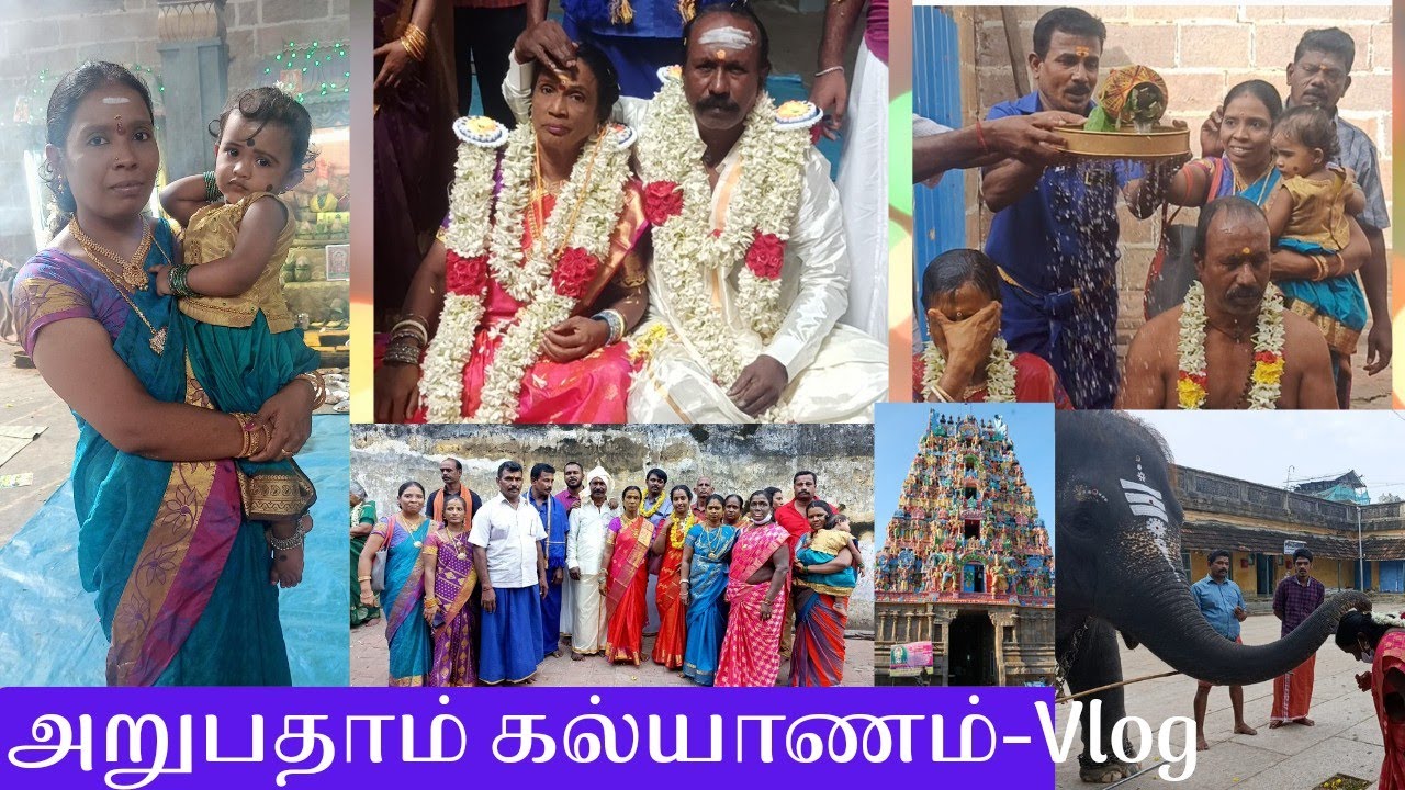 வீட்ல விஷேசம்ங்க/60ம் கல்யாணம் Vlog/Shastiapthapoorthi/function&Travel Vlog/திருக்கடையூர் திருமணம்