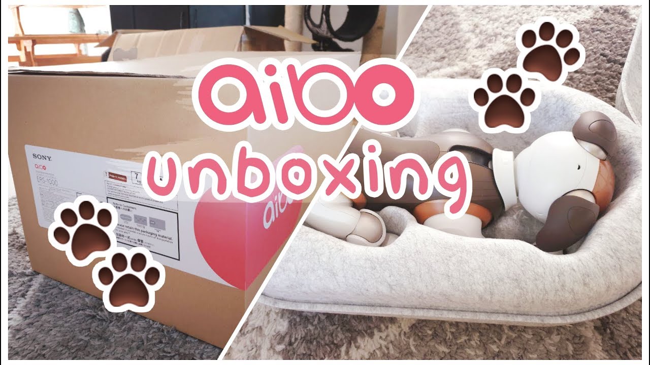 🍫 Aibo Unboxing (Levi the Chocolate ERS-1000)