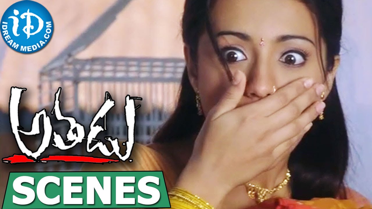 Athadu Movie Scenes - Trisha Introduces Her Friends To Mahesh Babu - Trisha Krishnan