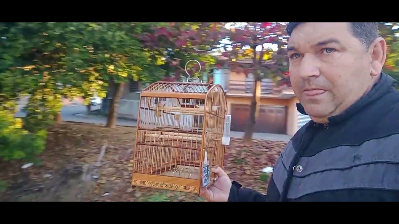 Quer  ter resultado você precisa fazer isso