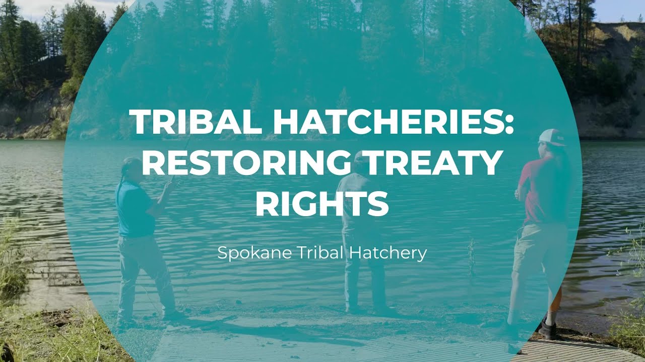 Tribal Hatcheries: Restoring Treaty Rights | Spokane Tribal Hatchery | Tomorrow's Catch
