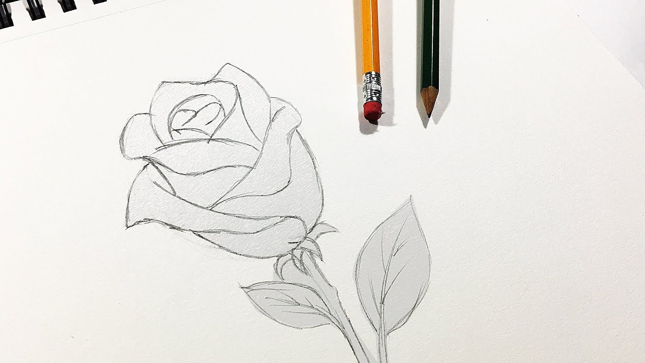 🌹COMO DIBUJAR UNA FLOR EN 5 MINUTOS SUPER FACIL🌷🌺