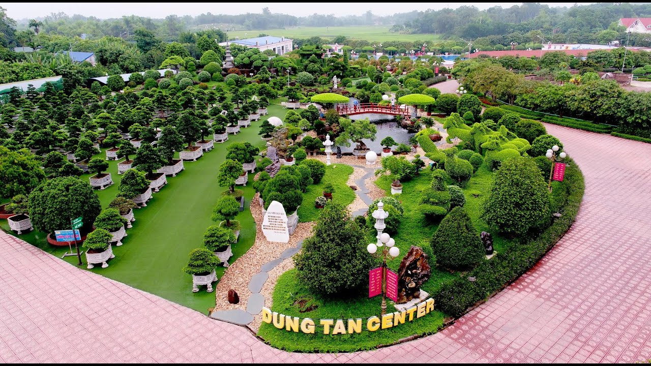 Giới thiệu Dũng Tân 11/20 Eng Sub Version