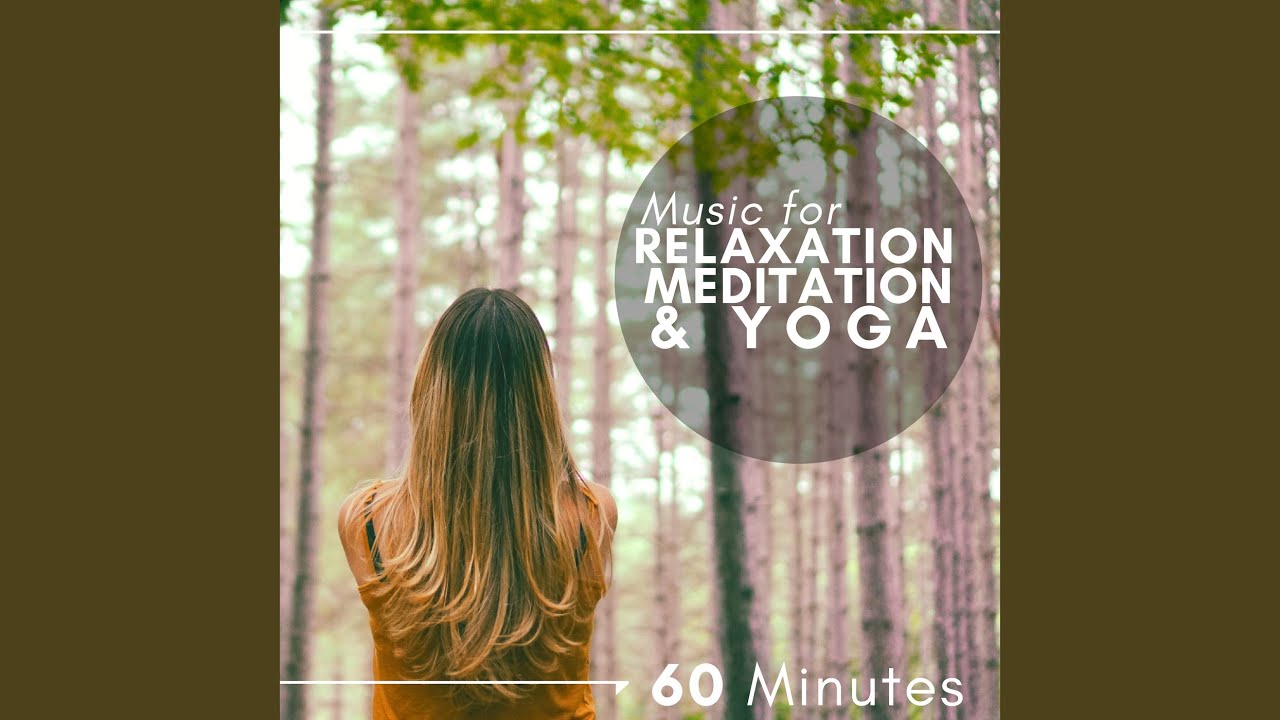 MIndfulness Experience