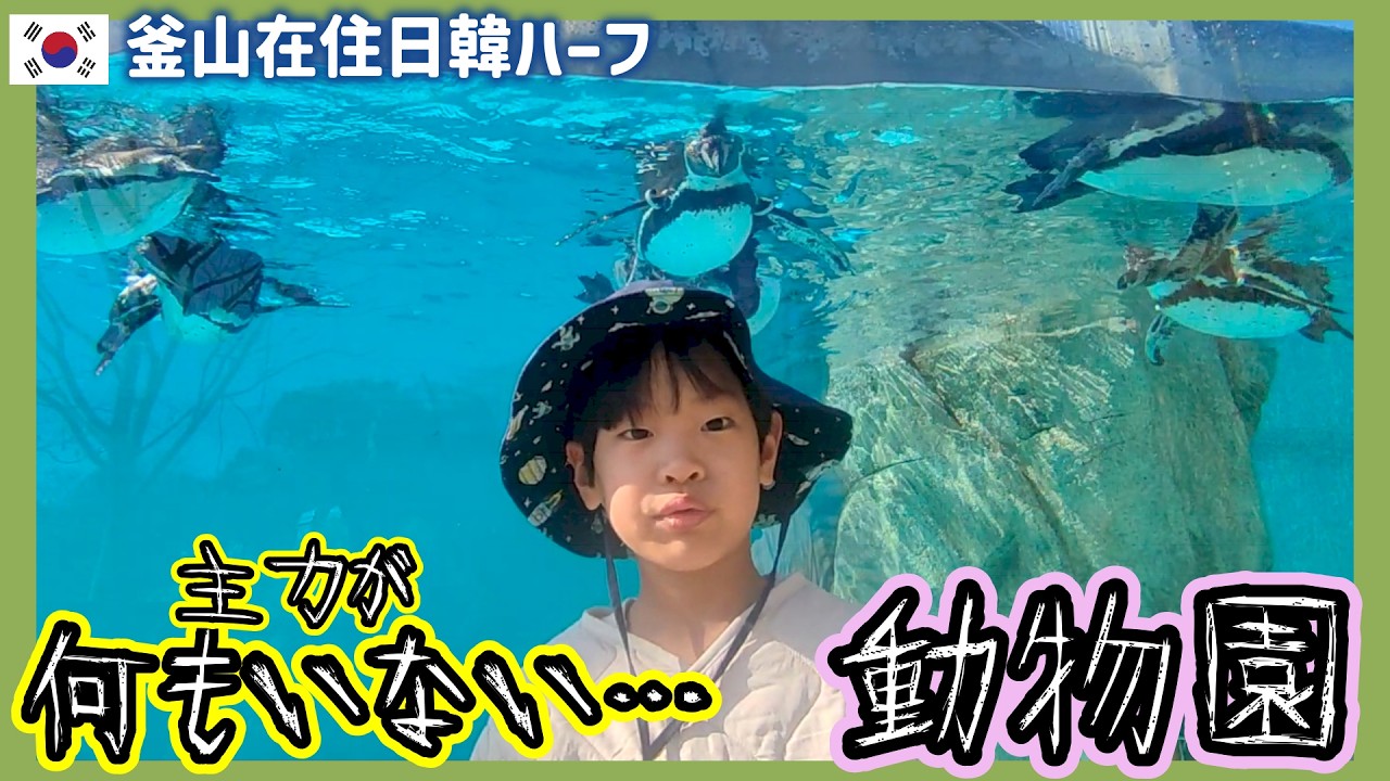 母レベル低すぎ！動物がいない福岡市動物園,釜山から日本へ一時帰国した5歳の春休み【韓国在住・日韓夫婦・한일부부】