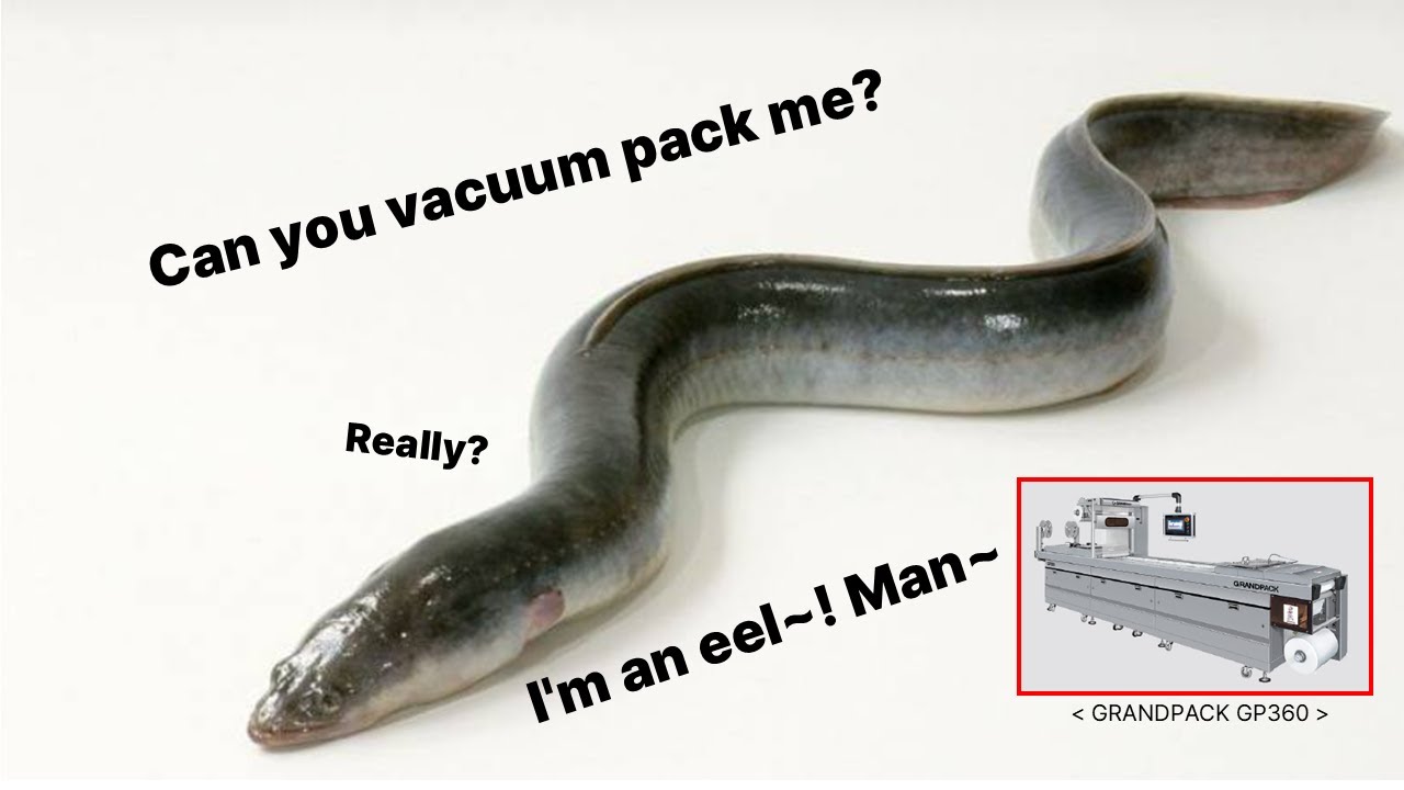 [GRANDPACK] GP460 Special type.(Eel packaging)