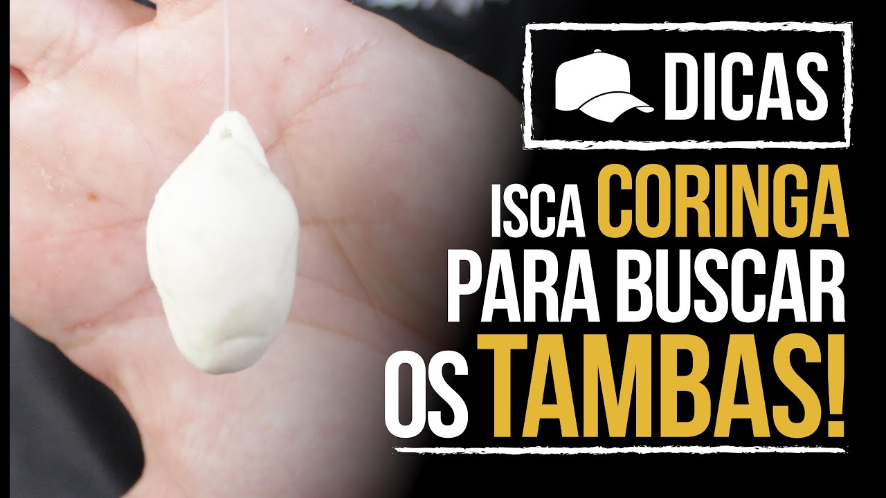 UMA ISCA CORINGA PARA BUSCAR OS TAMBAS (DICA)