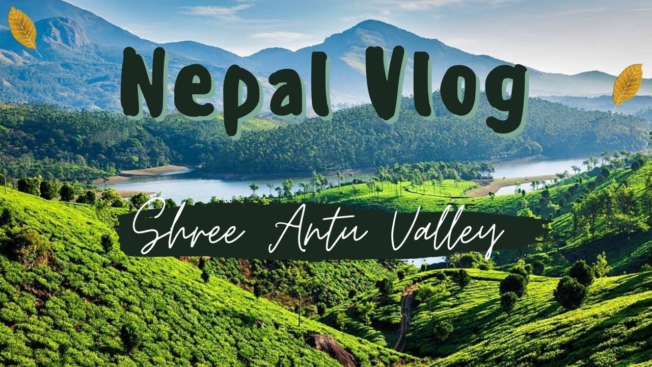 Nepal Tea Journey | नेपाल के चाय बागान |  #nepaltea  #shreeantu