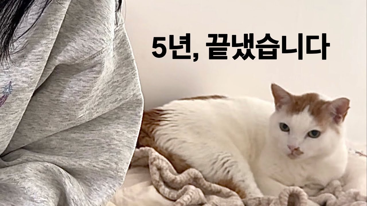 퇴사 D-day 그리고, 다시 시작하는 마음