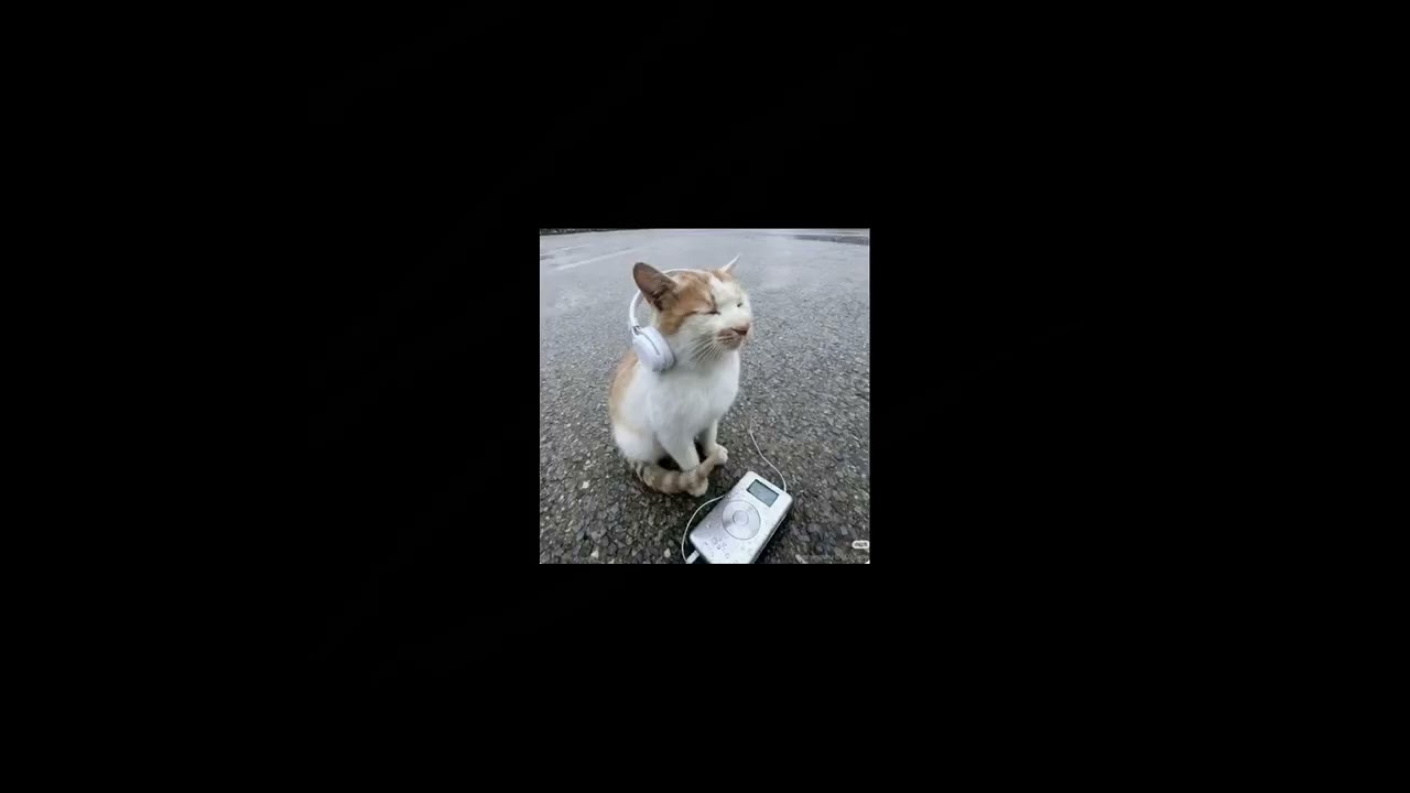 Random edit audios I found on TikTok part 3