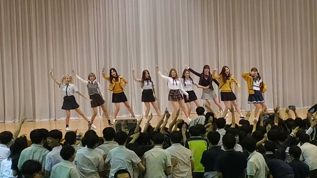 MOMOLAND performing on school (Wonderful Love EDM) 모모랜드