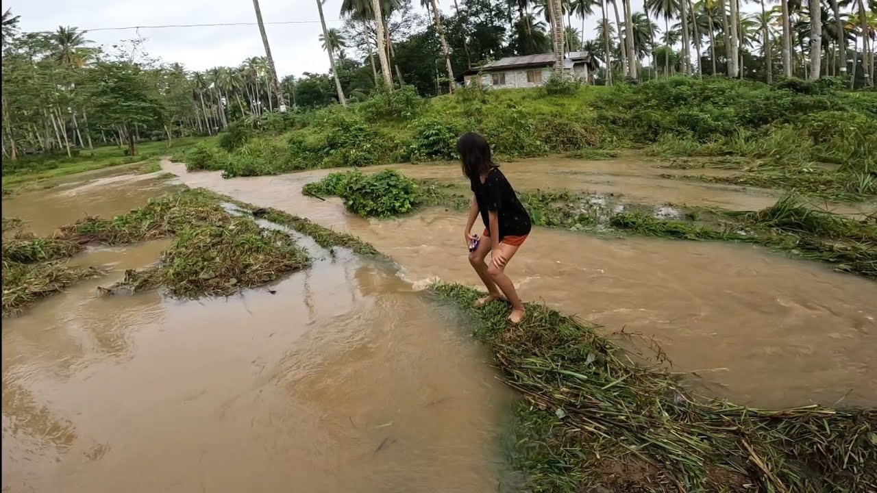 BINAHA ANG PALAYAN KO
