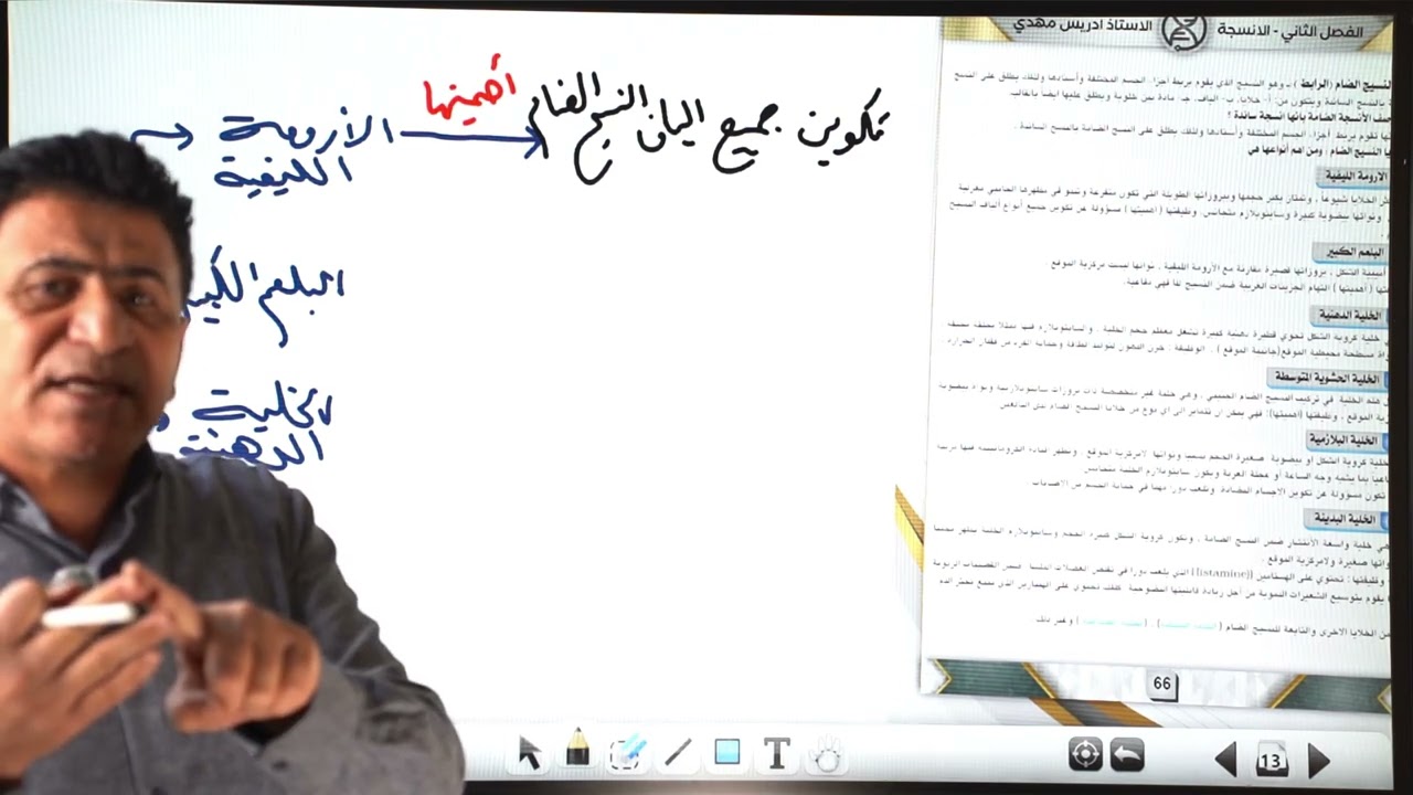 الفصل الثاني /الانسجة /المحاضرة 5/الانسجة الحيوانية /الدورة الإلكترونية الخاصة/2025 الانسجة الضامة