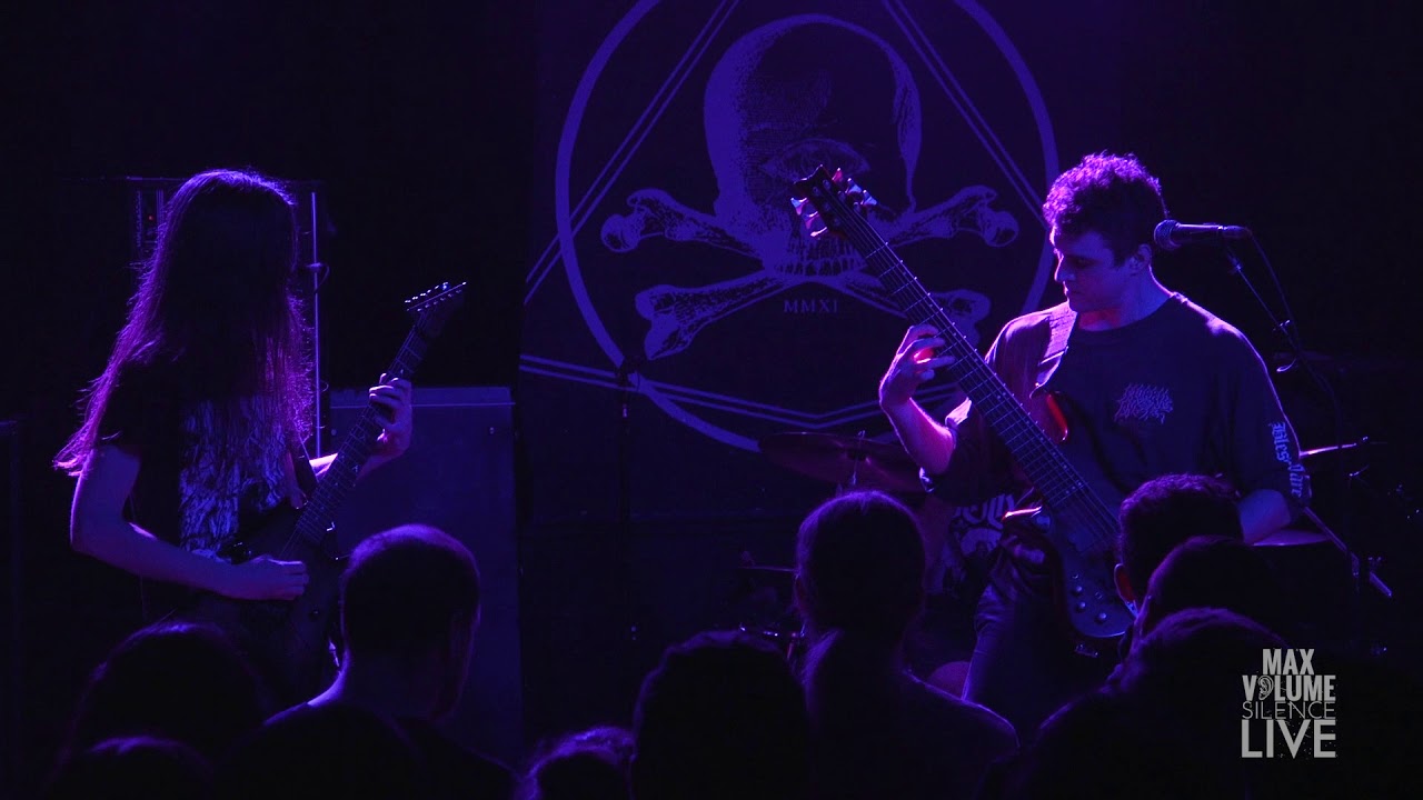 KRALLICE live at Saint Vitus Bar, Nov. 29th, 2017 (FULL SET)