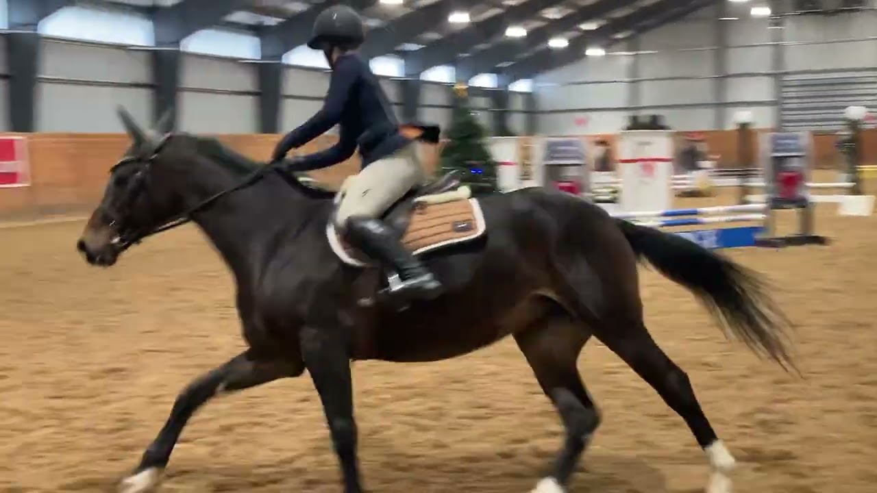 Maddy and Bali Itty Bitty Classic Jump Off