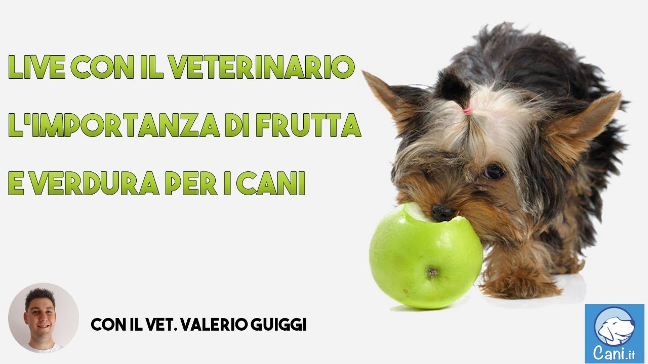 Frutta e verdura per cani: live di Cani.it