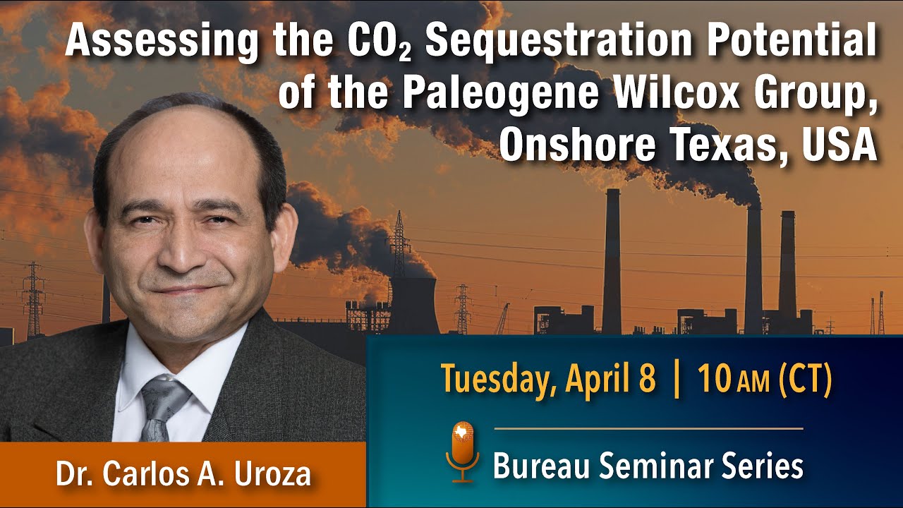 Assessing the CO2 Sequestration Potential of the Paleogene Wilcox Group, Onshore Texas, USA