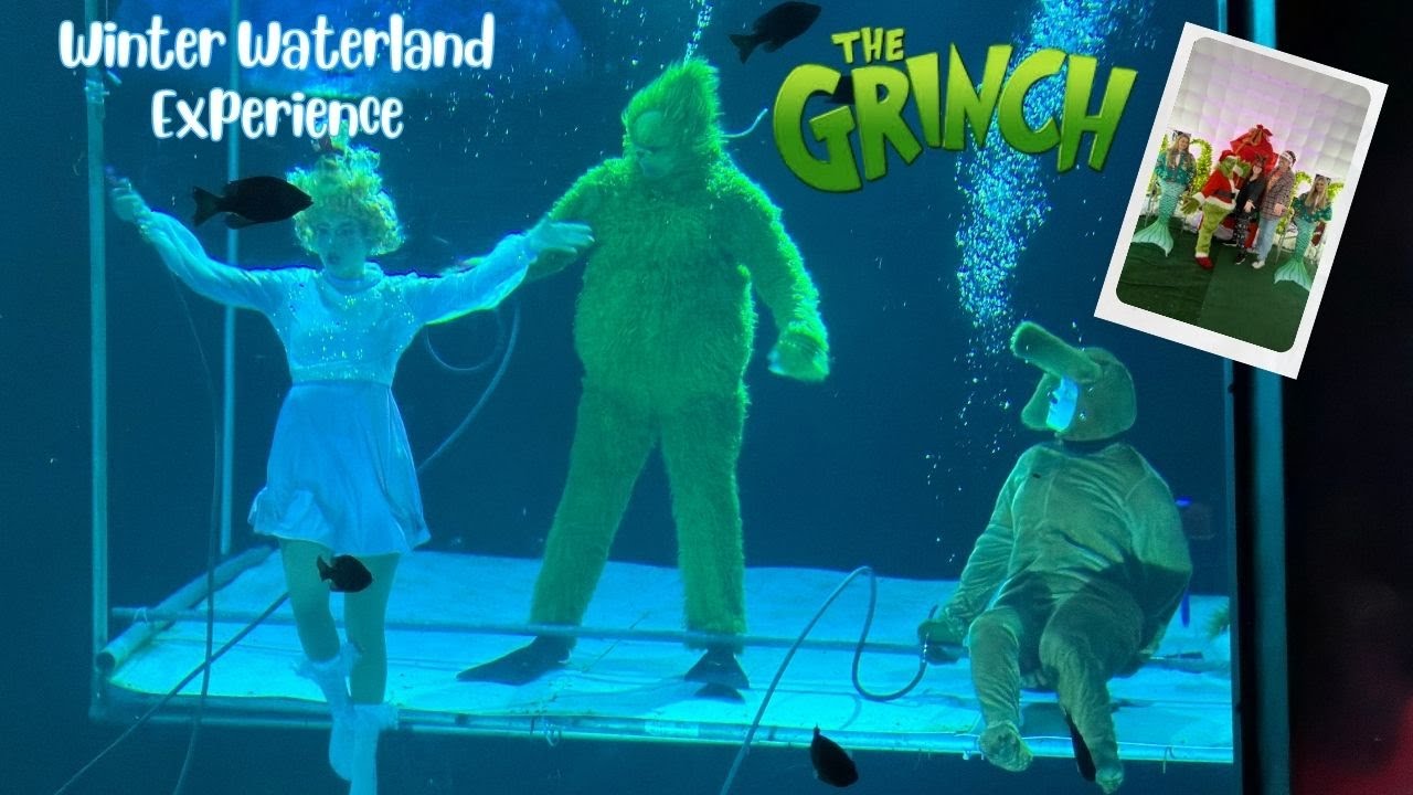 Mermaids Meet the Grinch! Weeki Wachee’s Winter Waterland