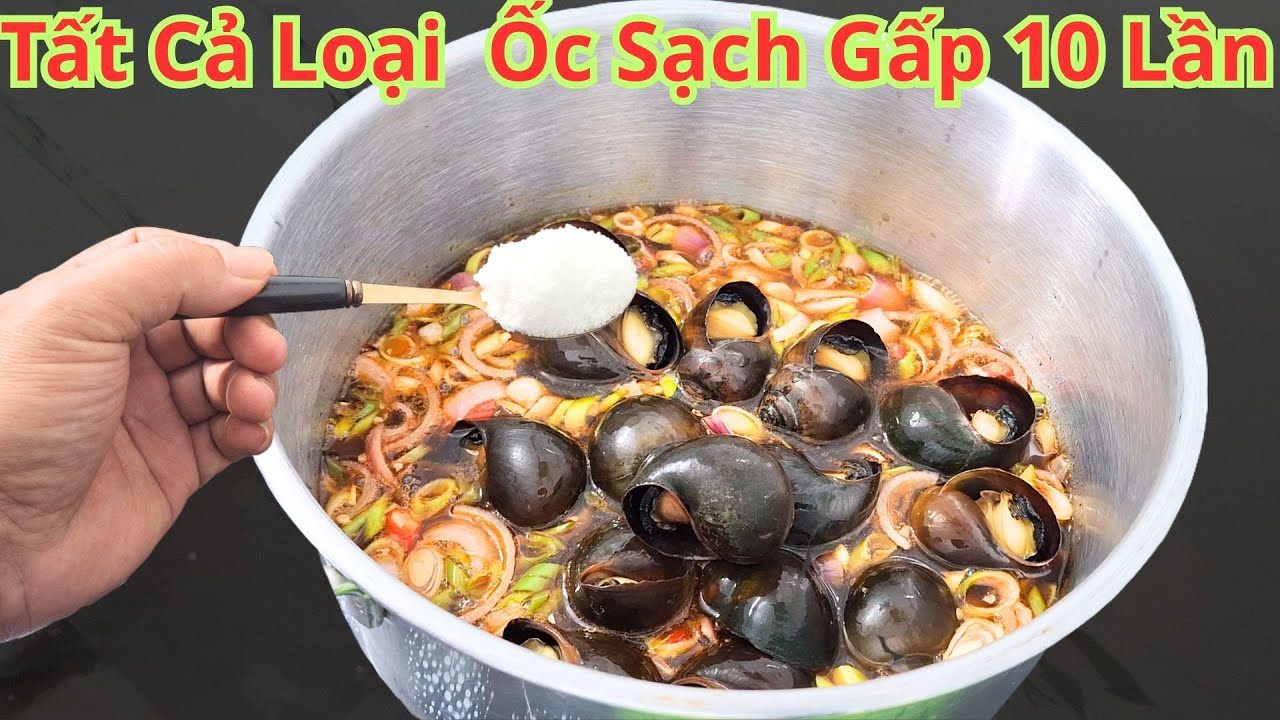 Chỉ Cần Chỉ Cho 1 Muỗng Này. Tất Cả Loại Ốc Nhã Bùn Đất Nhanh Cấp Tốc. Không Cần Chà Rửa Lại