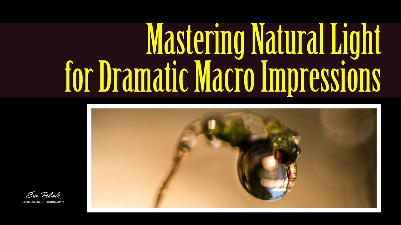 Mastering Natural Light for Dramatic Macro Impressions