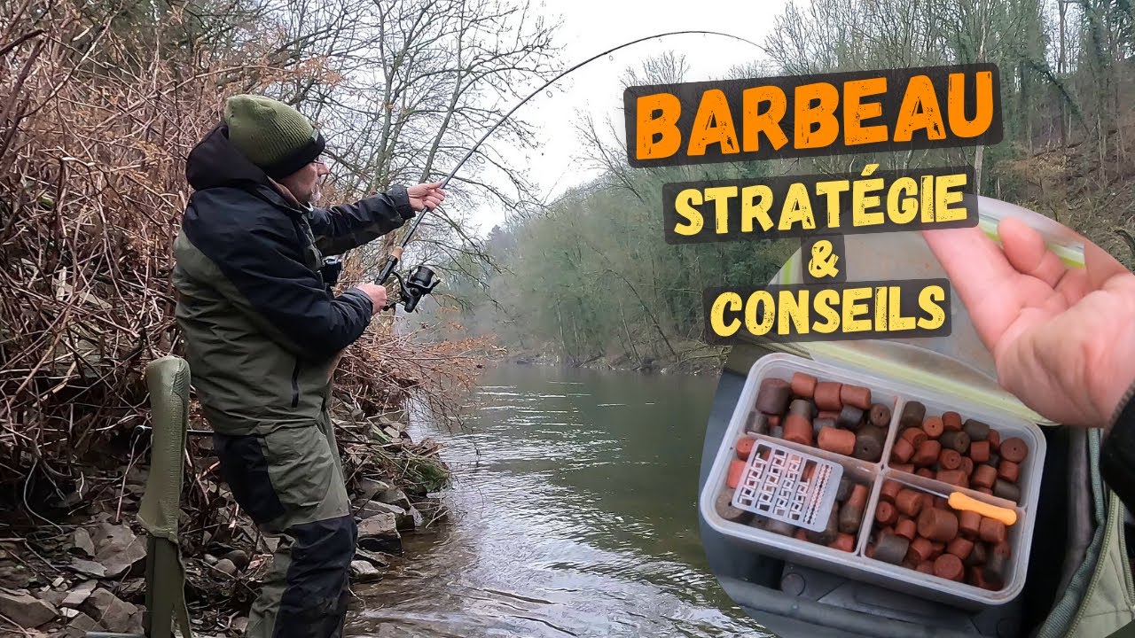 Stratégie et conseils pour attirer du Barbeau !