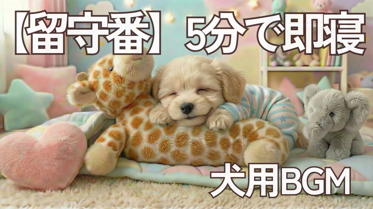 お留守番の不安に｜犬用BGM 分離不安・昼のお留守番に｜Dog Music for Separation Anxiety｜Home Alone (Daytime)｜8 Hours