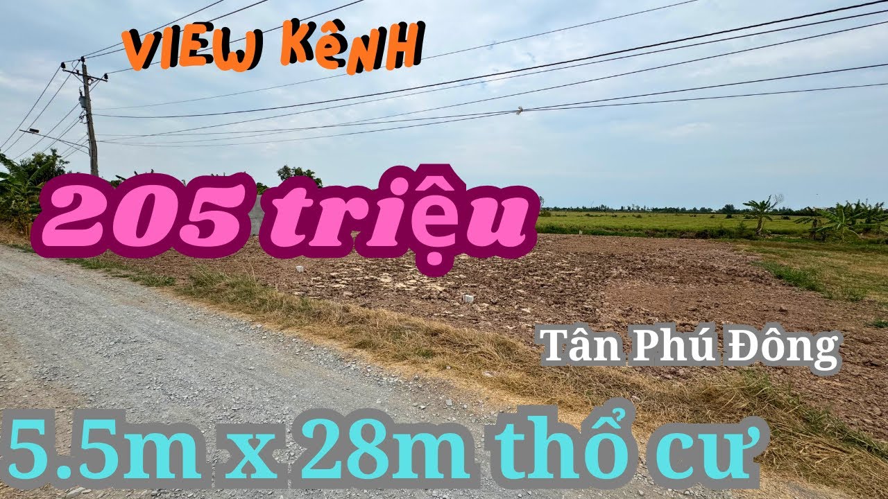 MS1983: 5.5m x 28m thổ cư xã Tân Phú Đông, gần tiện ích 