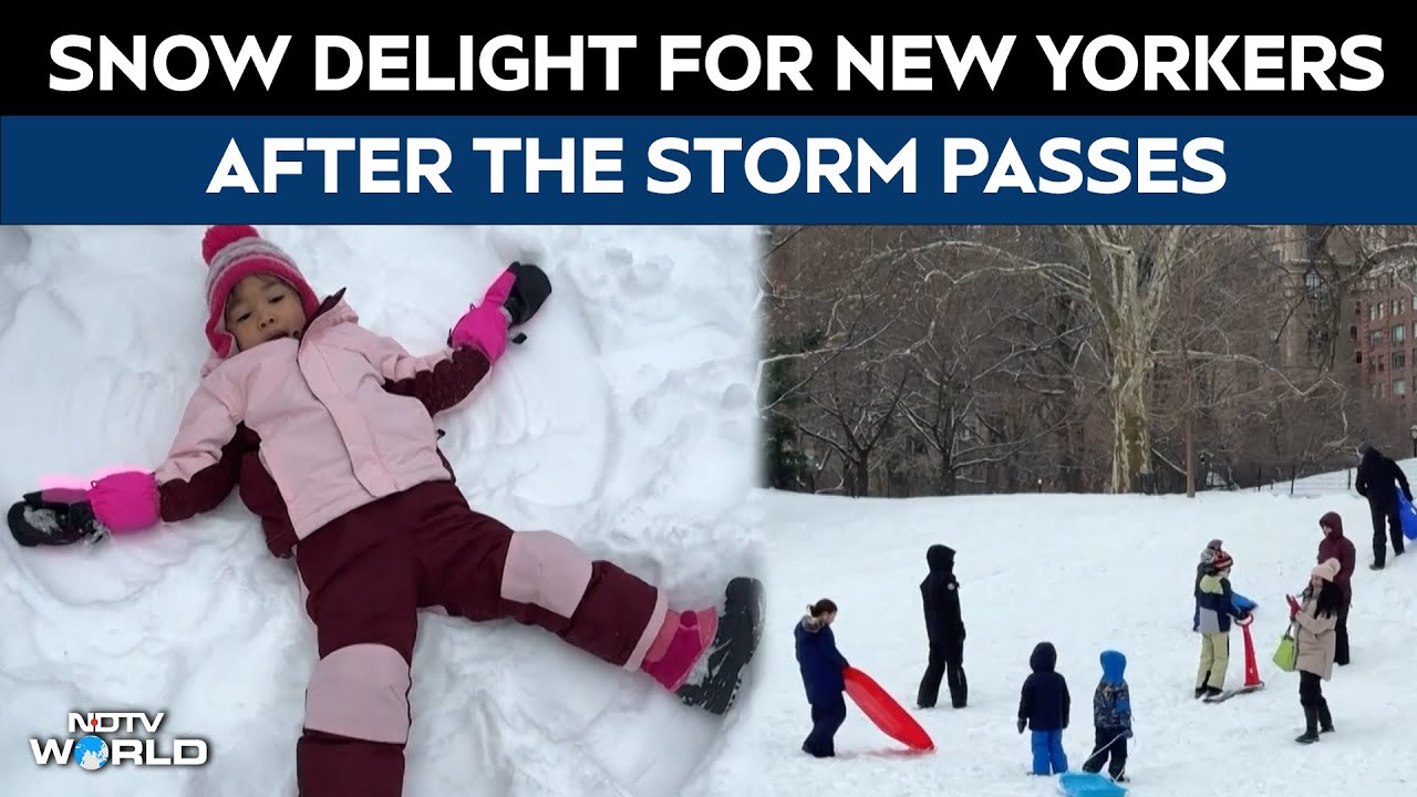 US News | New Yorkers Enjoy In The Snow After Massive Storm Surpasses The City