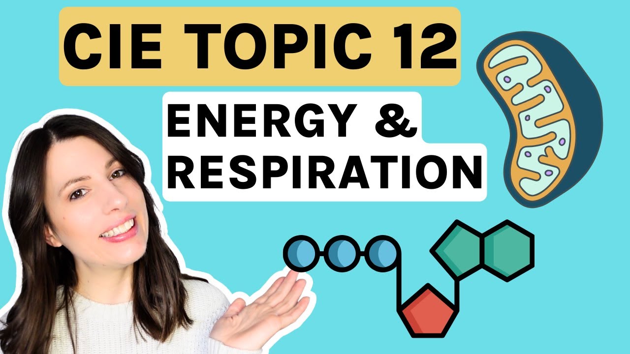 Energy & Respiration Topic 12 ENTIRE topic for CIE A-level