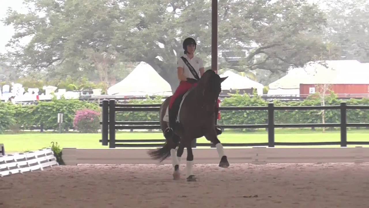 How To Ride Shoulder In - Half Pass to Extended Trot