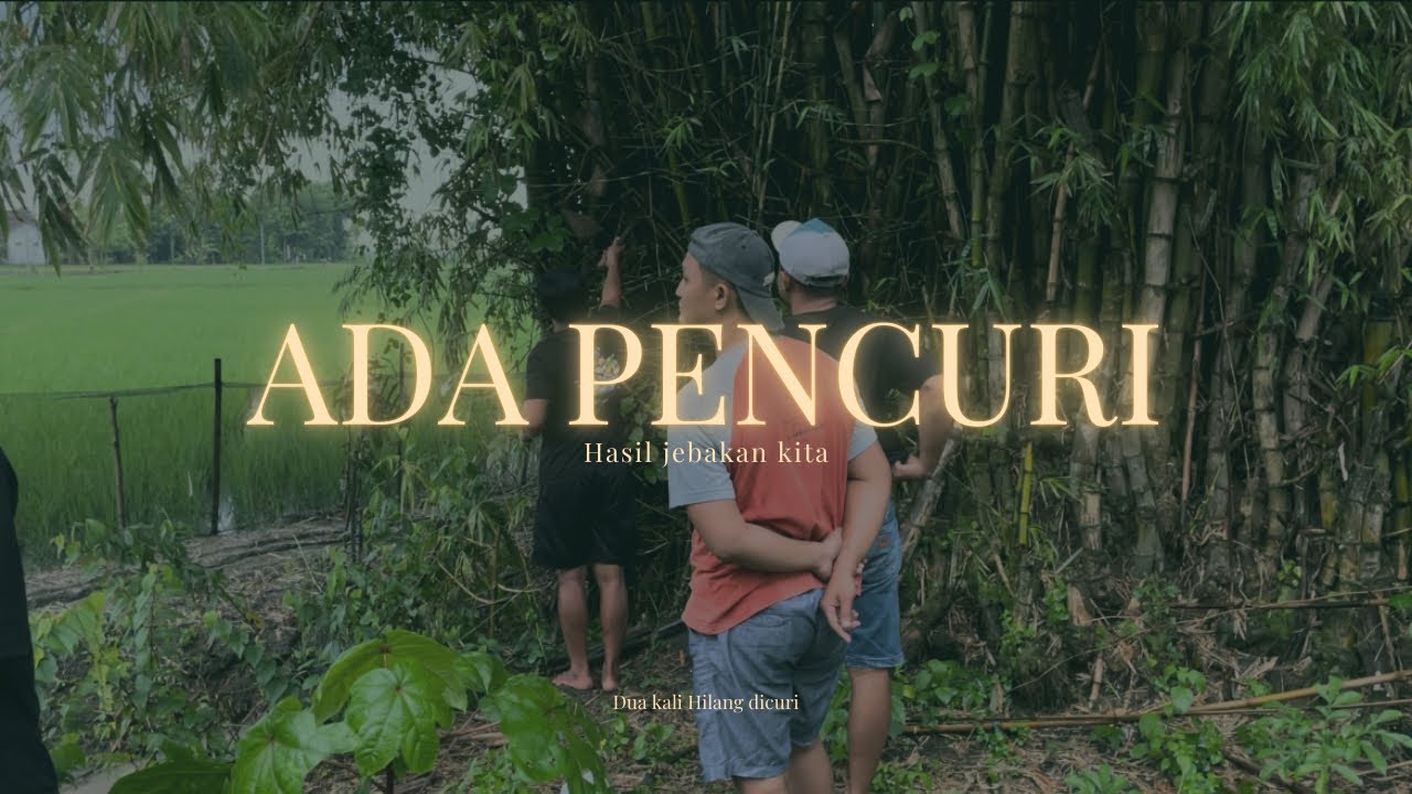 TERSANGKA SUDAH TERIDENTIFIKASI 😁
