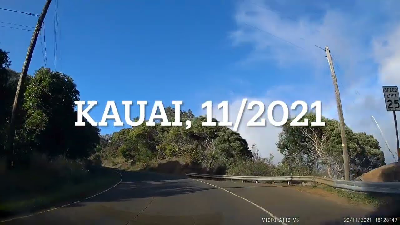 2021/11 Waimea Canyon State Park (HI-552 ascent), Kauai