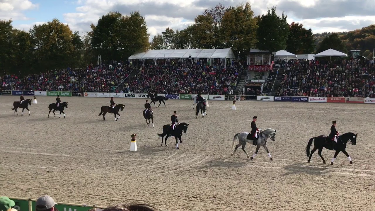 Hengstparade Marbach &lsquo;2017 ...(3)