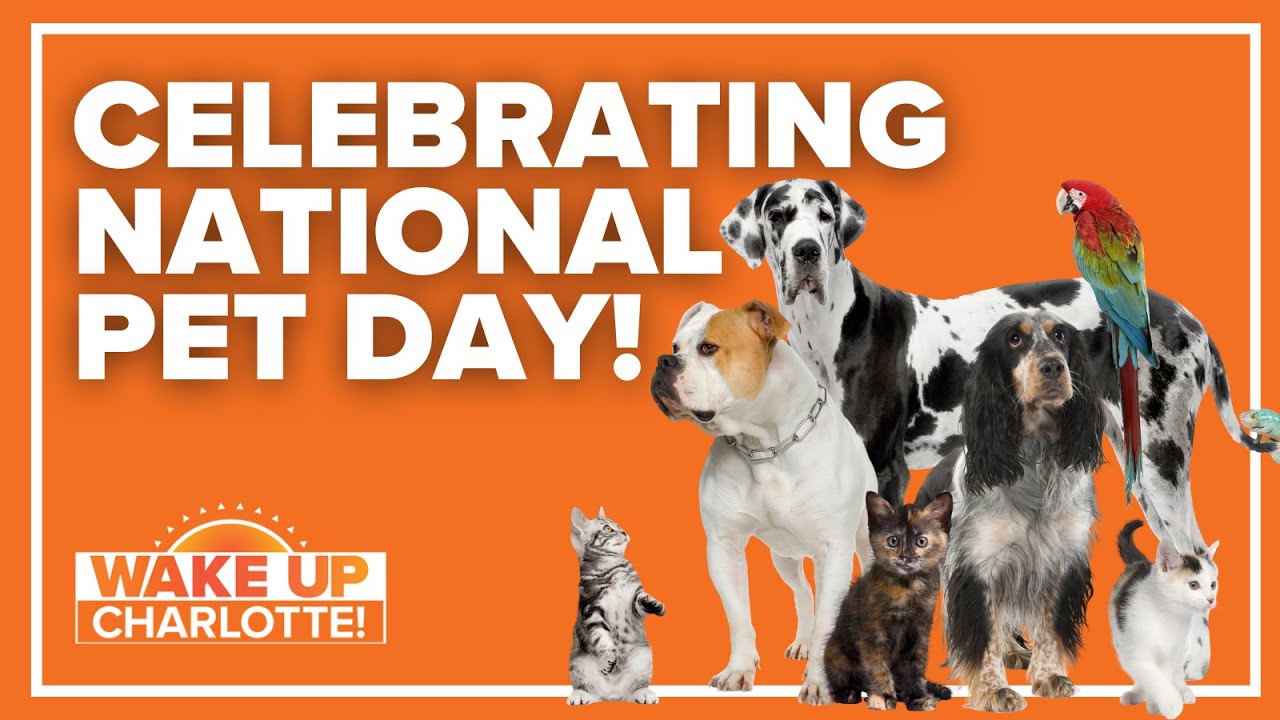 Celebrating National Pet Day! #wakeupclt