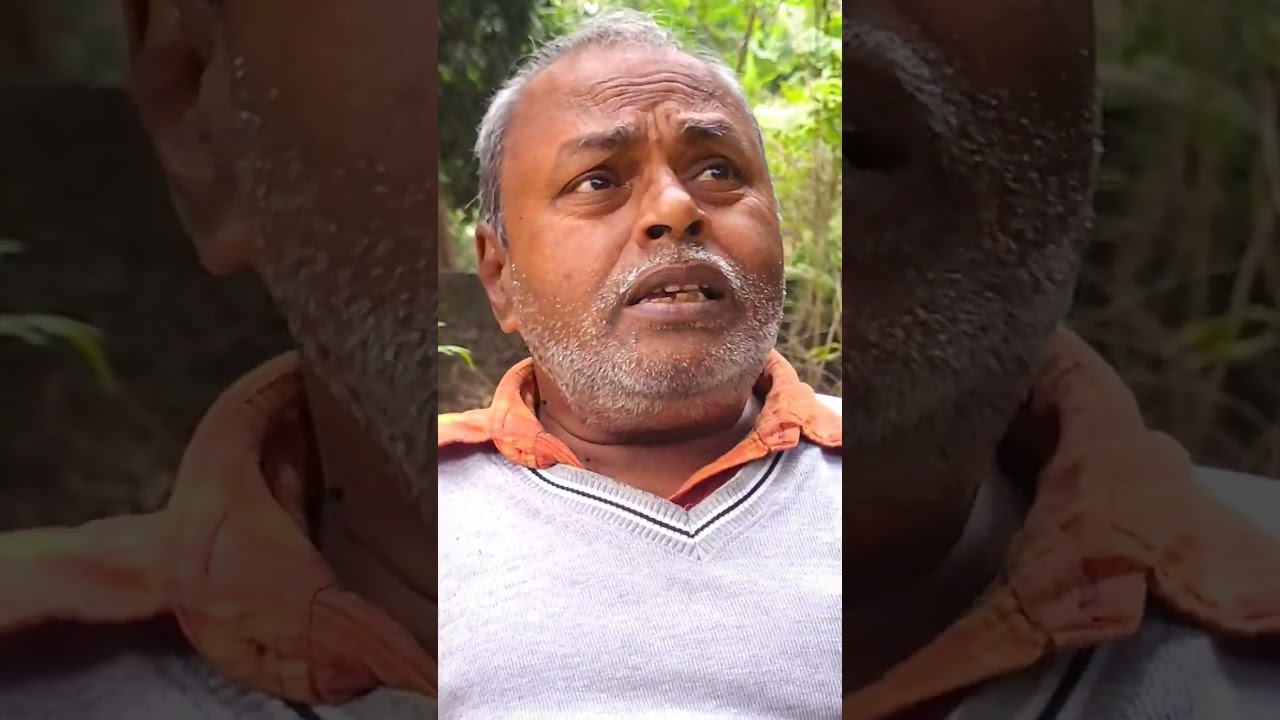 আজ বিকেল ছটার গাড়িতে