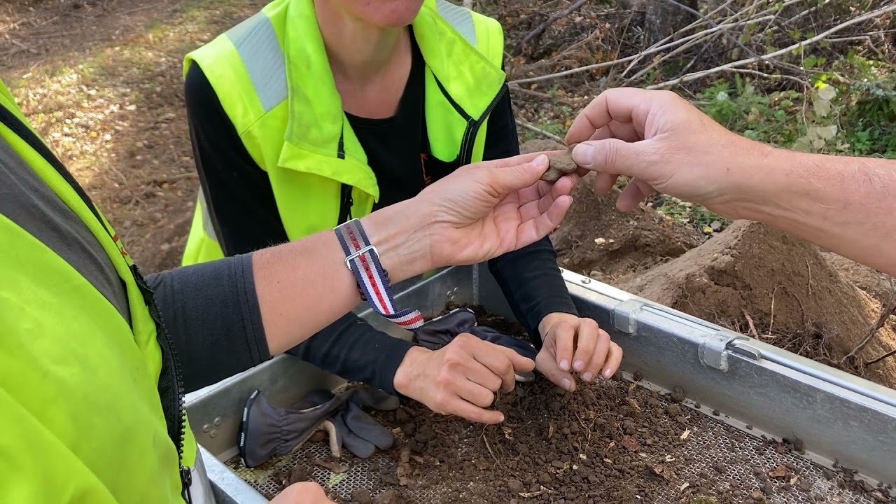 Vad gör en arkeolog?