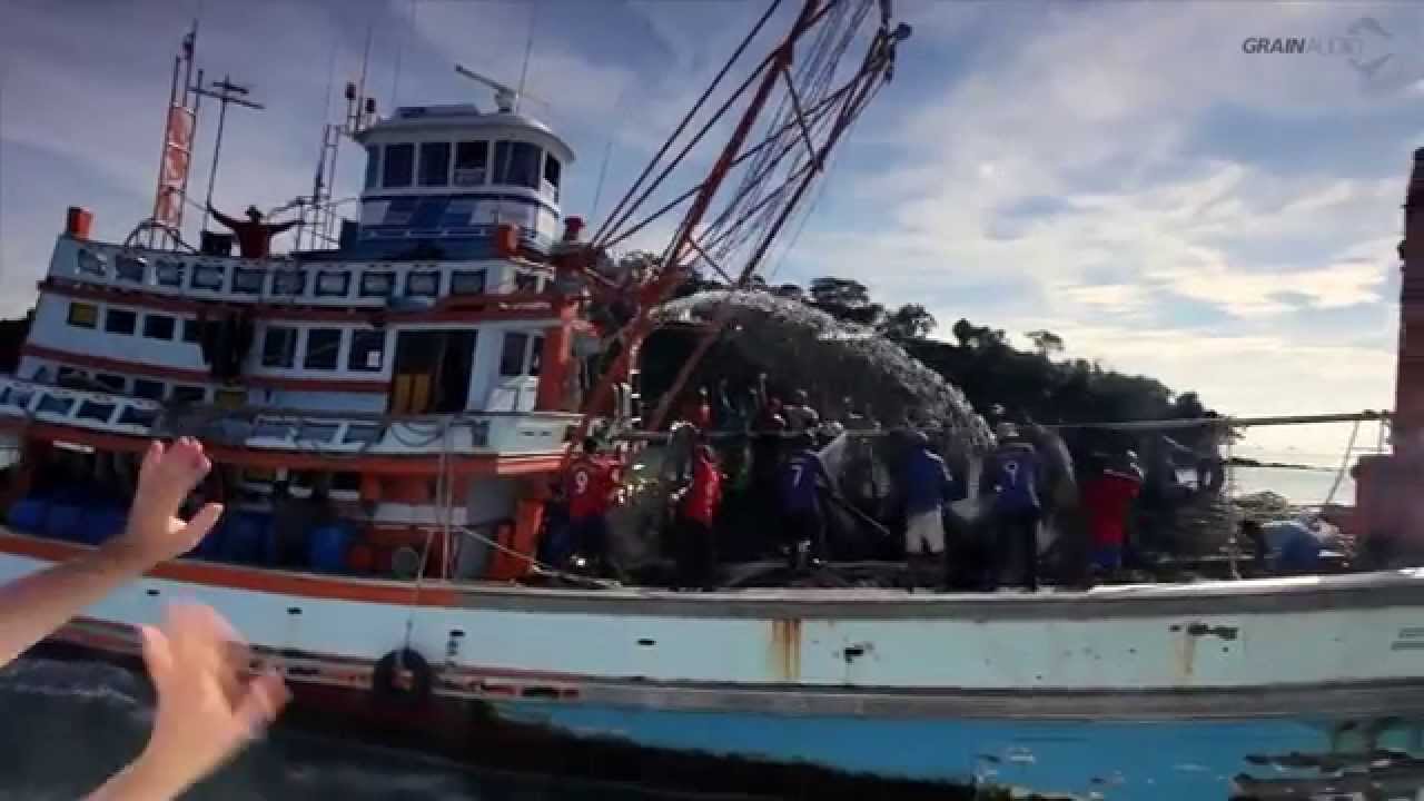 Panik Pop - Gefühl (Original Mix) [Official]