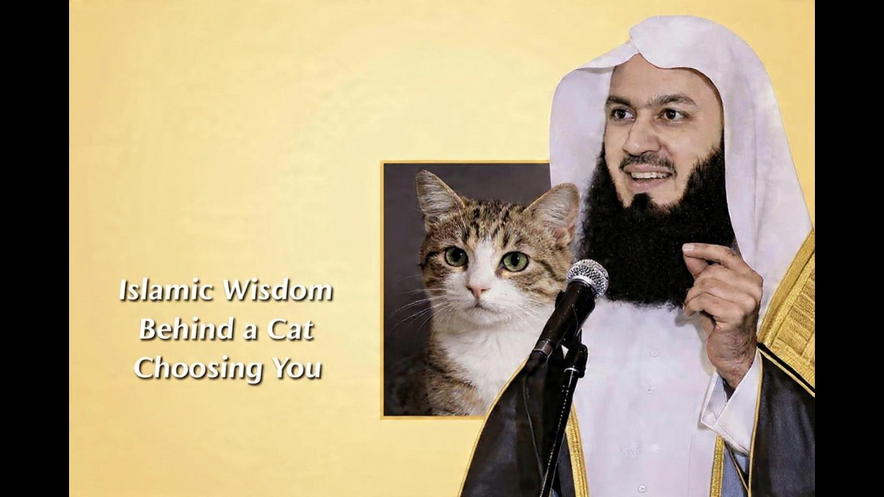 If a Cat Loves You, Watch This  The Islamic Meaning Explained  Mufti Menk