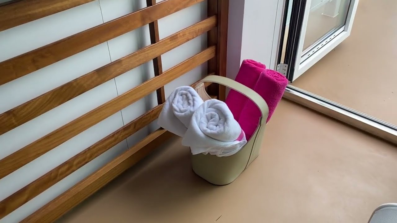 Sun Princess Reserve Cabana Mini-Suite 9237